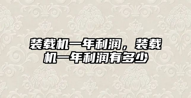 裝載機一年利潤，裝載機一年利潤有多少