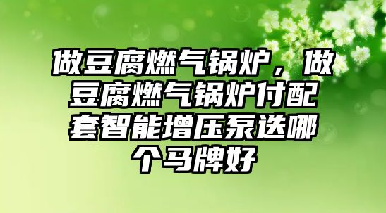 做豆腐燃?xì)忮仩t，做豆腐燃?xì)忮仩t付配套智能增壓泵迭哪個(gè)馬牌好