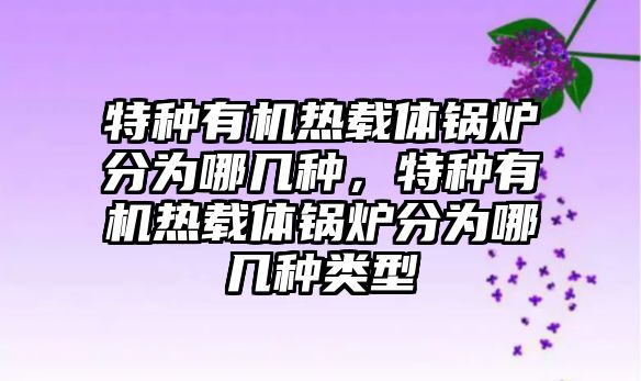 特種有機(jī)熱載體鍋爐分為哪幾種，特種有機(jī)熱載體鍋爐分為哪幾種類型