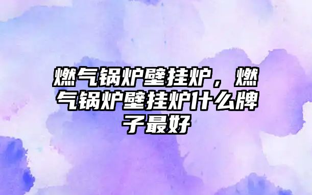 燃?xì)忮仩t壁掛爐，燃?xì)忮仩t壁掛爐什么牌子最好