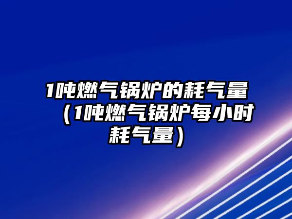 1噸燃?xì)忮仩t的耗氣量（1噸燃?xì)忮仩t每小時耗氣量）