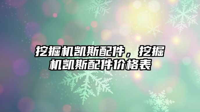 挖掘機(jī)凱斯配件，挖掘機(jī)凱斯配件價(jià)格表