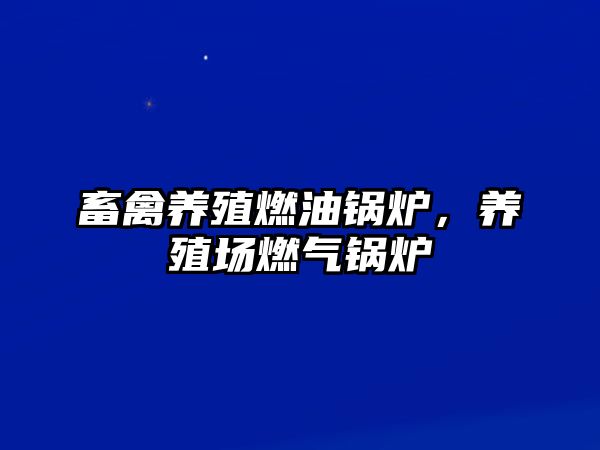 畜禽養(yǎng)殖燃油鍋爐，養(yǎng)殖場(chǎng)燃?xì)忮仩t