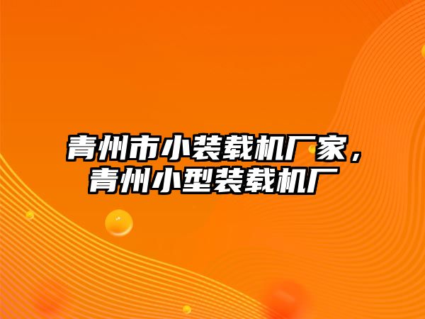 青州市小裝載機廠家，青州小型裝載機廠