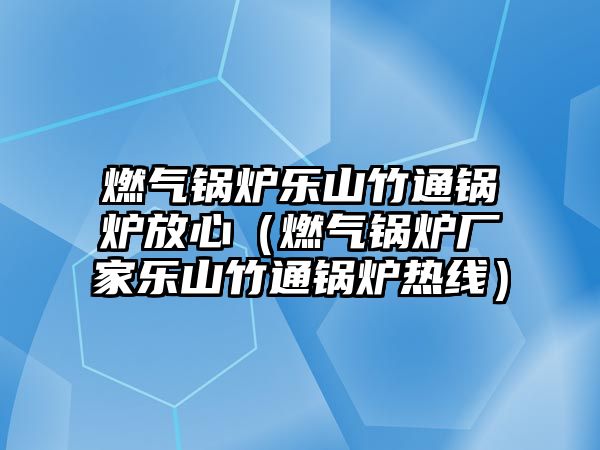 燃?xì)忮仩t樂山竹通鍋爐放心（燃?xì)忮仩t廠家樂山竹通鍋爐熱線）