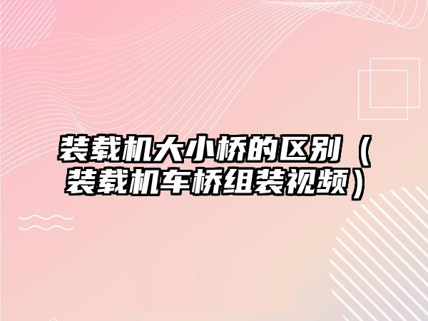 裝載機大小橋的區(qū)別（裝載機車橋組裝視頻）