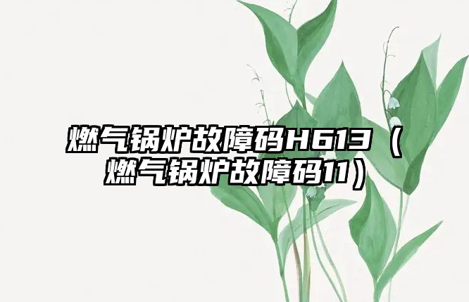 燃?xì)忮仩t故障碼H613（燃?xì)忮仩t故障碼11）