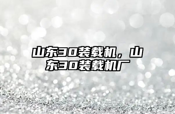 山東30裝載機(jī)，山東30裝載機(jī)廠