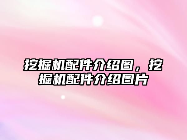 挖掘機配件介紹圖，挖掘機配件介紹圖片