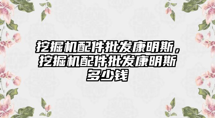 挖掘機配件批發(fā)康明斯，挖掘機配件批發(fā)康明斯多少錢