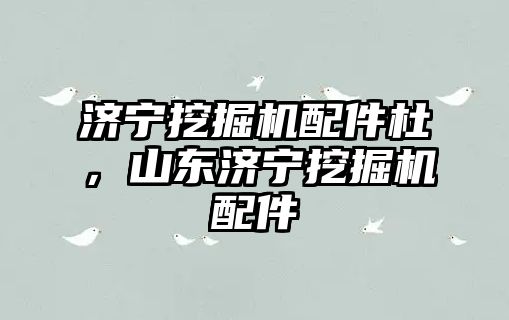 濟(jì)寧挖掘機(jī)配件杜，山東濟(jì)寧挖掘機(jī)配件