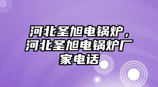 河北圣旭電鍋爐，河北圣旭電鍋爐廠家電話