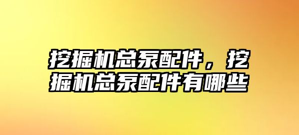 挖掘機總泵配件，挖掘機總泵配件有哪些