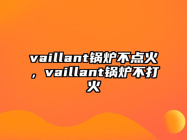 vaillant鍋爐不點火，vaillant鍋爐不打火