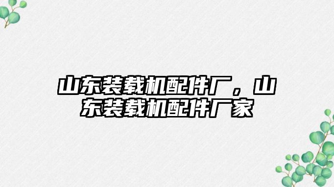 山東裝載機配件廠，山東裝載機配件廠家