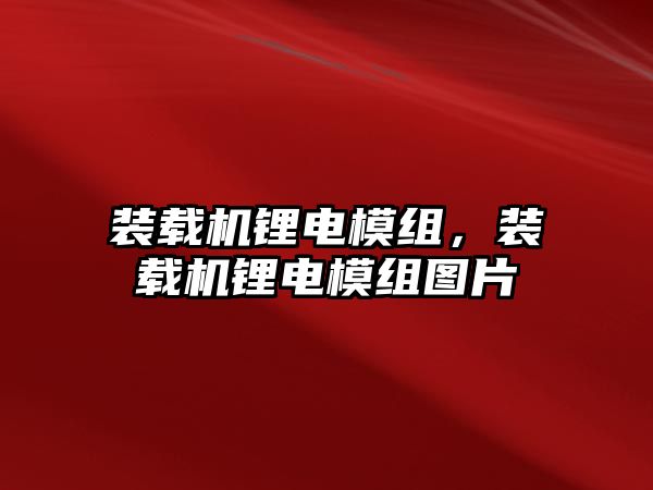 裝載機鋰電模組，裝載機鋰電模組圖片