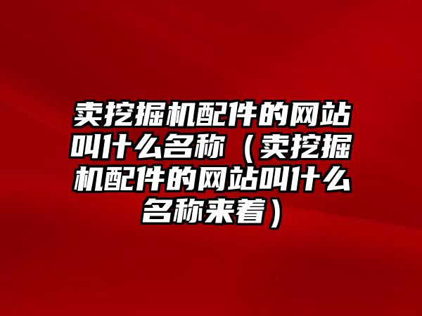 賣挖掘機(jī)配件的網(wǎng)站叫什么名稱（賣挖掘機(jī)配件的網(wǎng)站叫什么名稱來著）