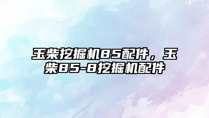 玉柴挖掘機(jī)85配件，玉柴85-8挖掘機(jī)配件