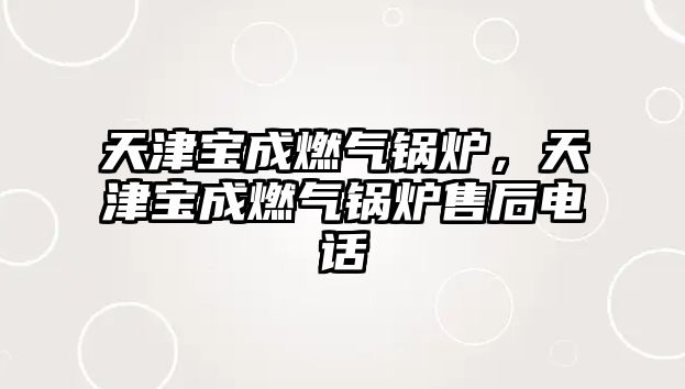 天津?qū)毘扇細忮仩t，天津?qū)毘扇細忮仩t售后電話