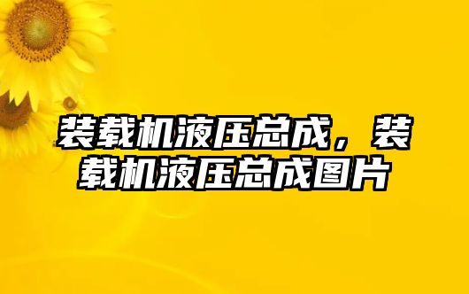 裝載機液壓總成，裝載機液壓總成圖片