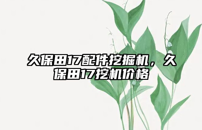 久保田17配件挖掘機(jī)，久保田17挖機(jī)價(jià)格