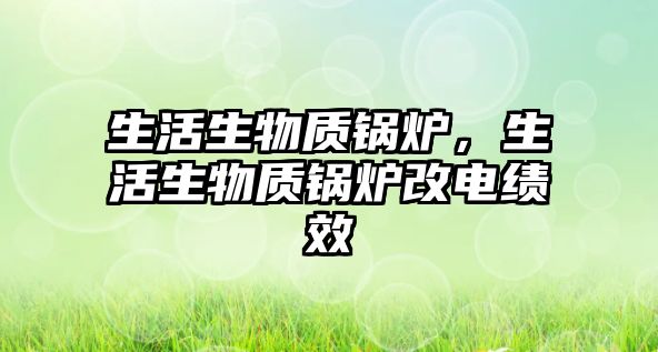 生活生物質鍋爐，生活生物質鍋爐改電績效