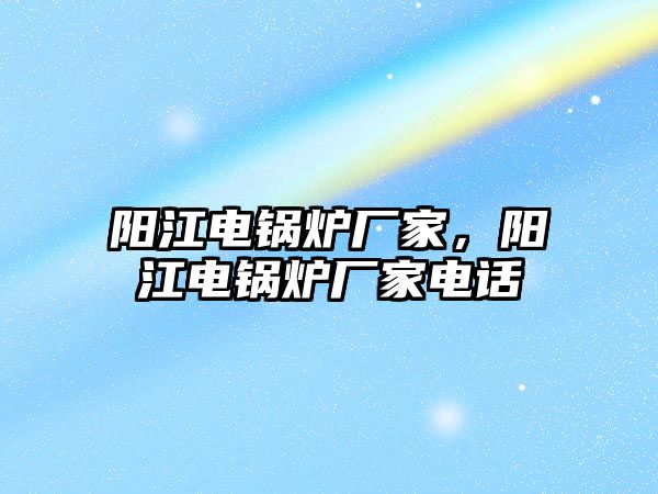 陽江電鍋爐廠家，陽江電鍋爐廠家電話