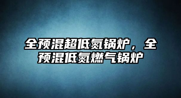 全預(yù)混超低氮鍋爐，全預(yù)混低氮燃?xì)忮仩t