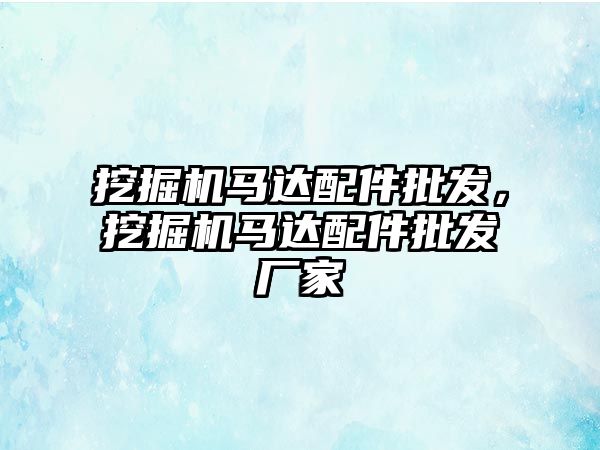 挖掘機馬達配件批發(fā)，挖掘機馬達配件批發(fā)廠家