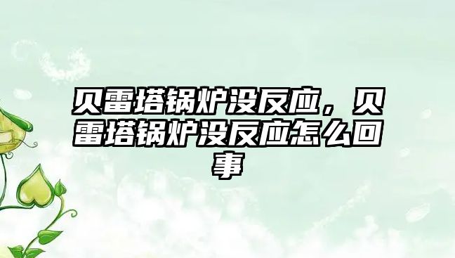 貝雷塔鍋爐沒反應(yīng)，貝雷塔鍋爐沒反應(yīng)怎么回事