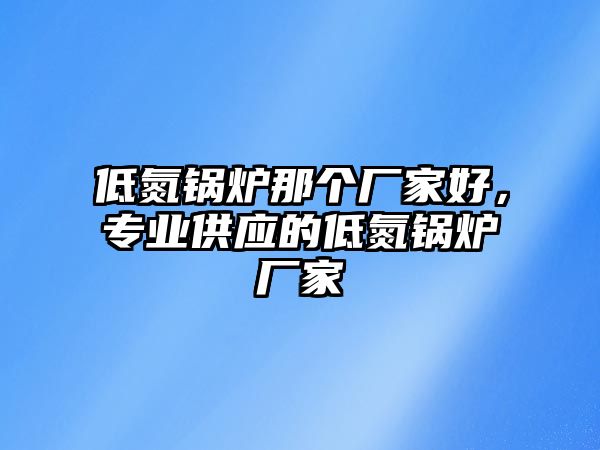 低氮鍋爐那個廠家好，專業(yè)供應(yīng)的低氮鍋爐廠家