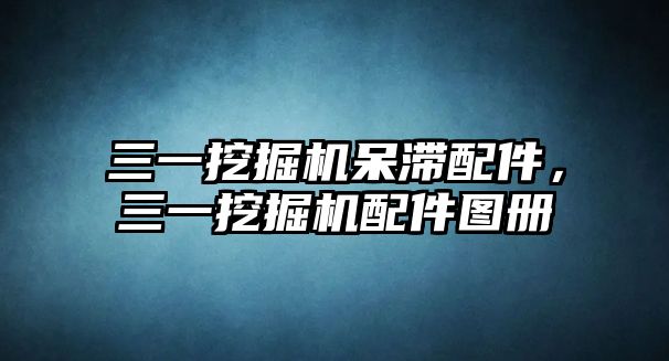 三一挖掘機(jī)呆滯配件，三一挖掘機(jī)配件圖冊(cè)