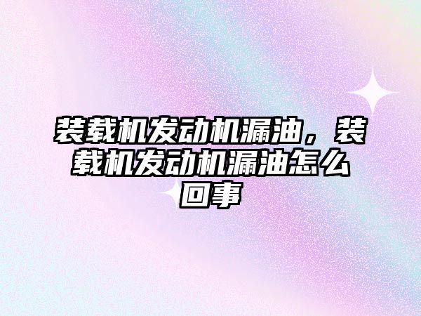 裝載機發(fā)動機漏油，裝載機發(fā)動機漏油怎么回事