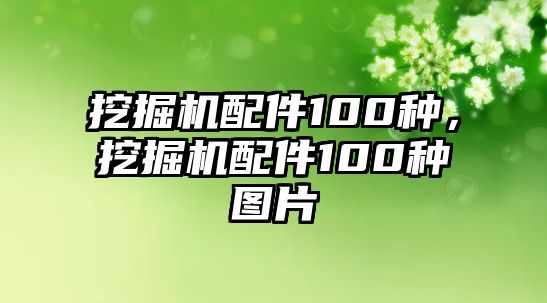 挖掘機(jī)配件100種，挖掘機(jī)配件100種圖片