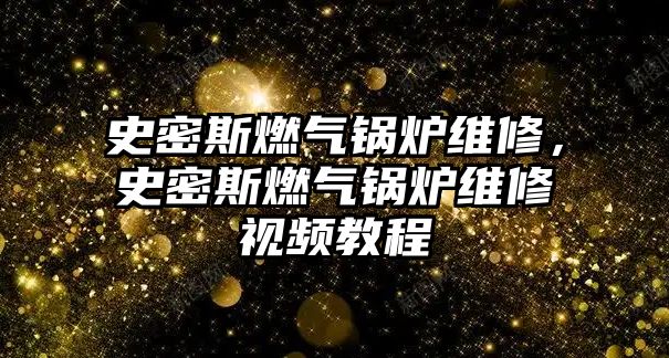 史密斯燃?xì)忮仩t維修，史密斯燃?xì)忮仩t維修視頻教程