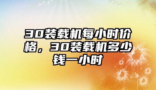 30裝載機(jī)每小時(shí)價(jià)格，30裝載機(jī)多少錢一小時(shí)