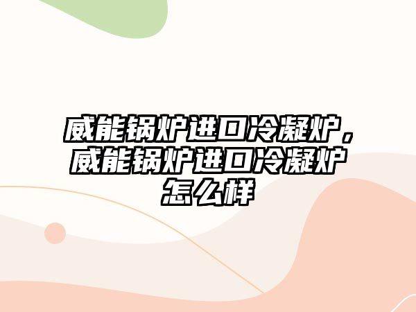 威能鍋爐進口冷凝爐，威能鍋爐進口冷凝爐怎么樣