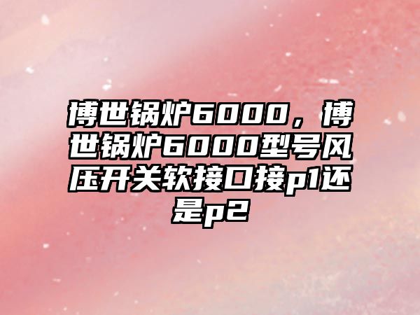 博世鍋爐6000，博世鍋爐6000型號風壓開關(guān)軟接口接p1還是p2