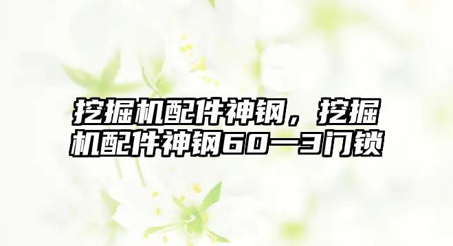 挖掘機(jī)配件神鋼，挖掘機(jī)配件神鋼60一3門鎖