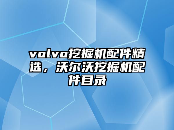 volvo挖掘機配件精選，沃爾沃挖掘機配件目錄