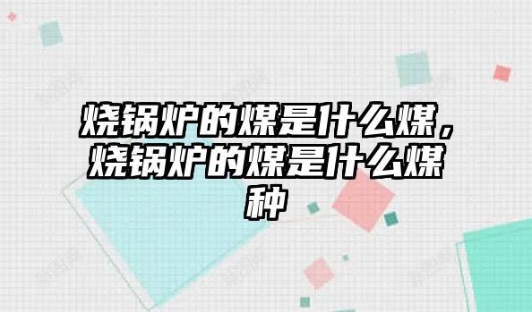 燒鍋爐的煤是什么煤，燒鍋爐的煤是什么煤種