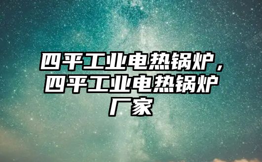 四平工業(yè)電熱鍋爐，四平工業(yè)電熱鍋爐廠家