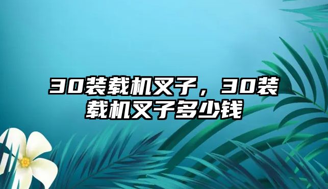 30裝載機叉子，30裝載機叉子多少錢