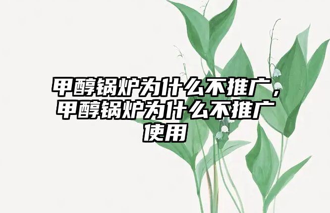 甲醇鍋爐為什么不推廣，甲醇鍋爐為什么不推廣使用