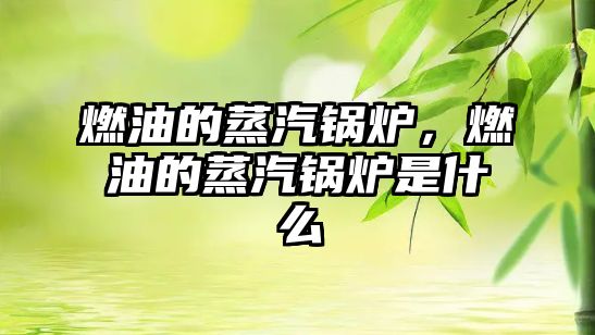 燃油的蒸汽鍋爐，燃油的蒸汽鍋爐是什么