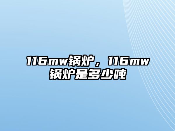 116mw鍋爐，116mw鍋爐是多少噸