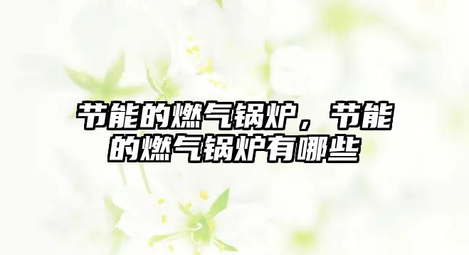 節(jié)能的燃?xì)忮仩t，節(jié)能的燃?xì)忮仩t有哪些