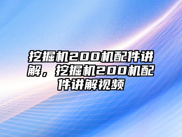 挖掘機(jī)200機(jī)配件講解，挖掘機(jī)200機(jī)配件講解視頻