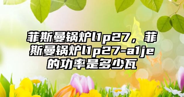 菲斯曼鍋爐l1p27，菲斯曼鍋爐l1p27-a1je的功率是多少瓦