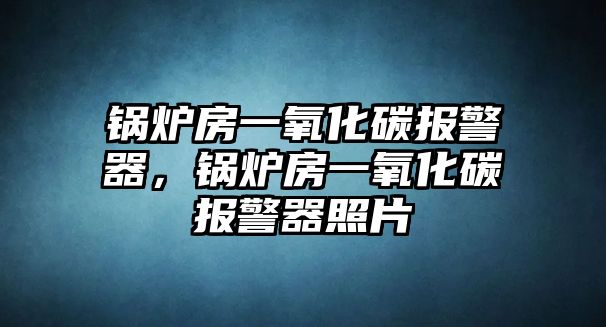 鍋爐房一氧化碳報(bào)警器，鍋爐房一氧化碳報(bào)警器照片